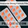 Anaconda Strong Formula Pills 27